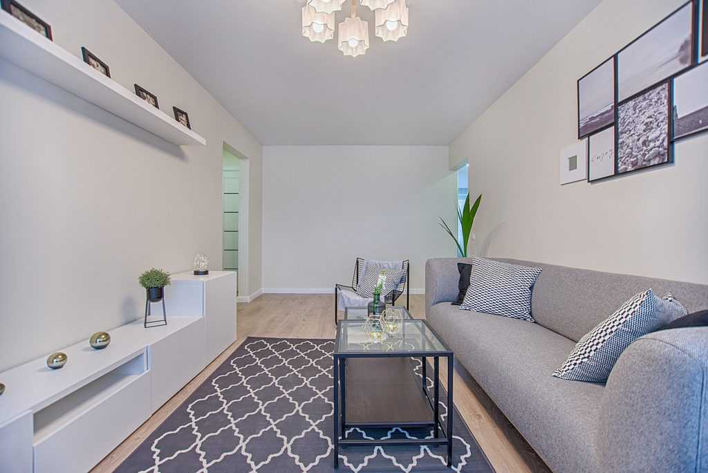 Apartment Minimalist Living Room