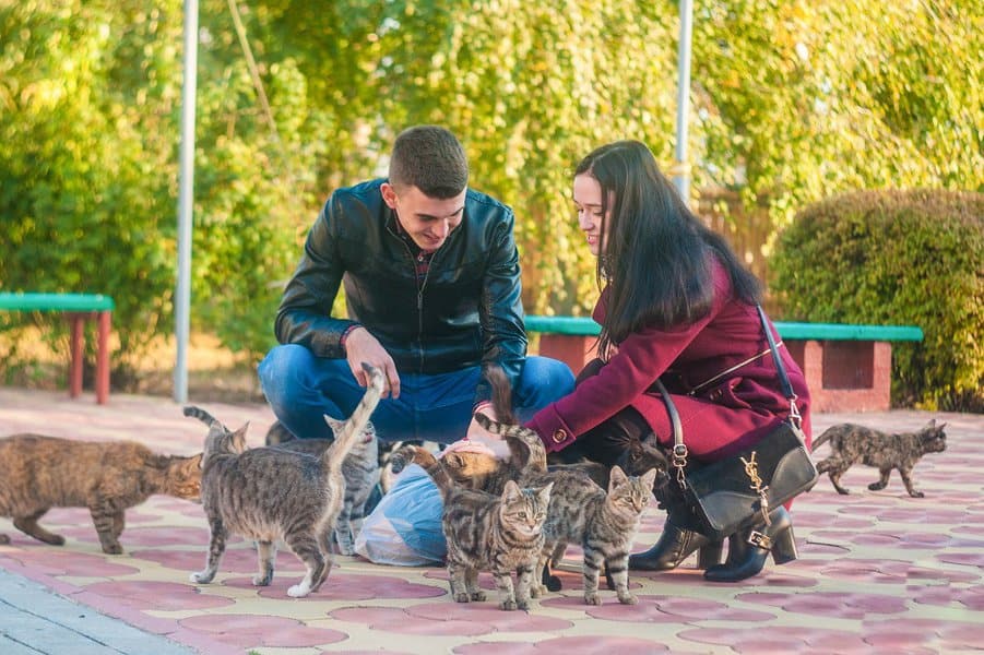 couple with cats