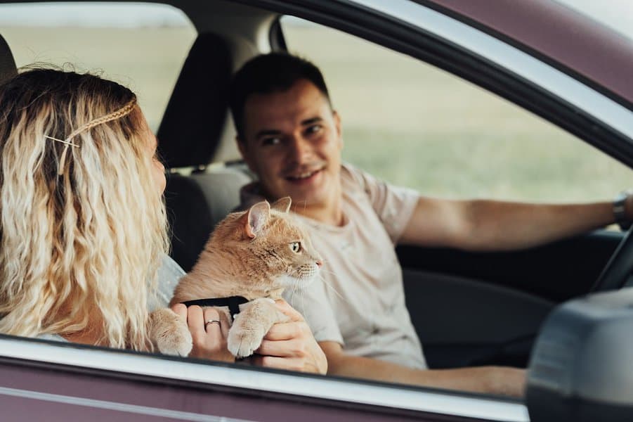 Couple with Their Cat Enjoying Road Trip