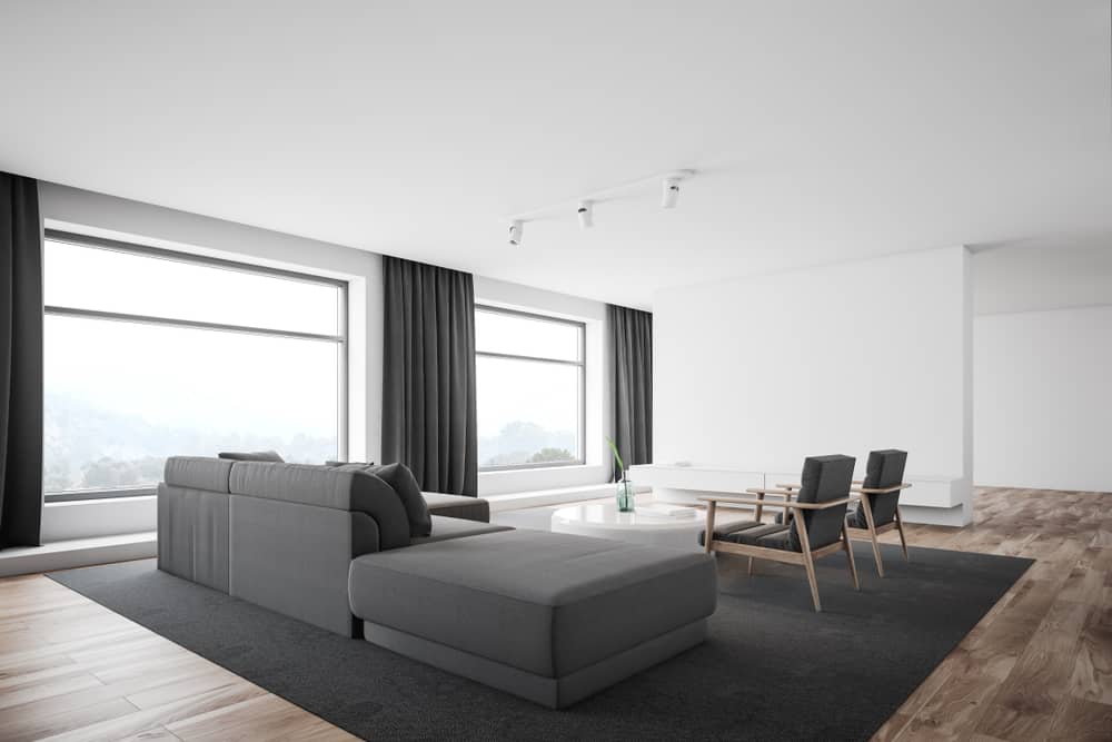 Gray Minimalist Living Room 2