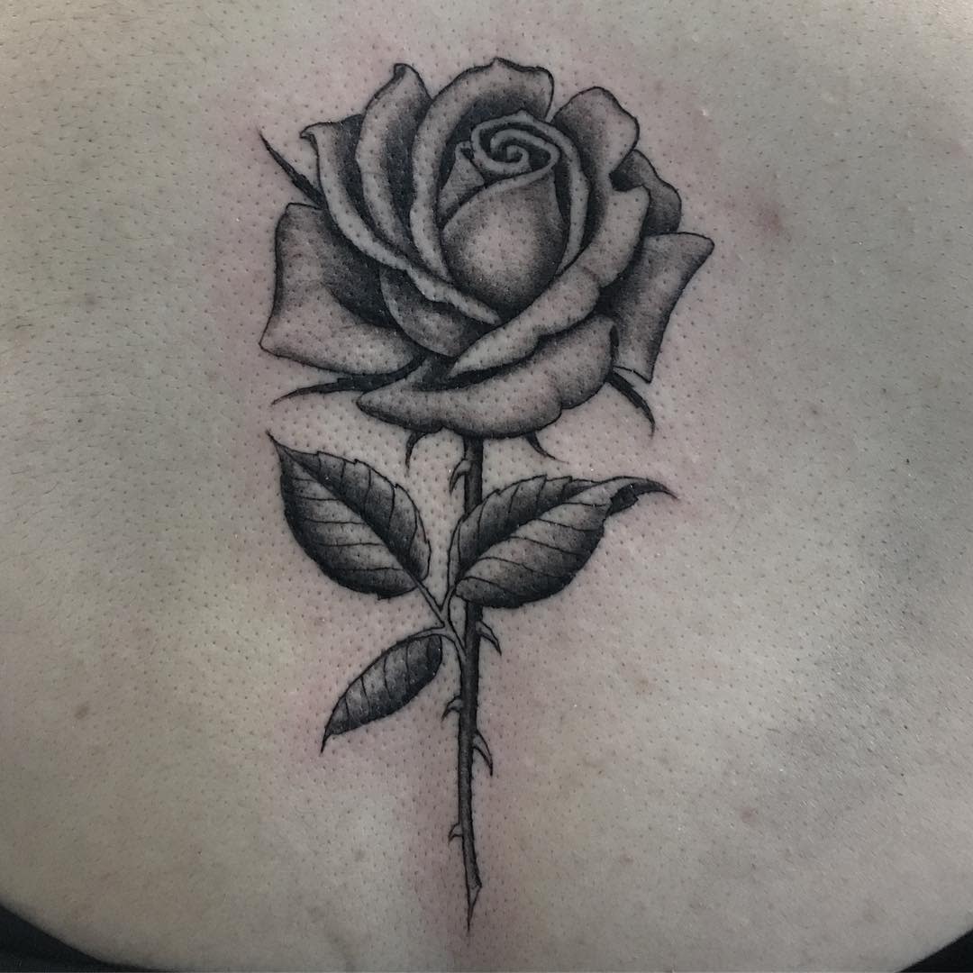simple black and grey rose tattoos colbywhite_rlt