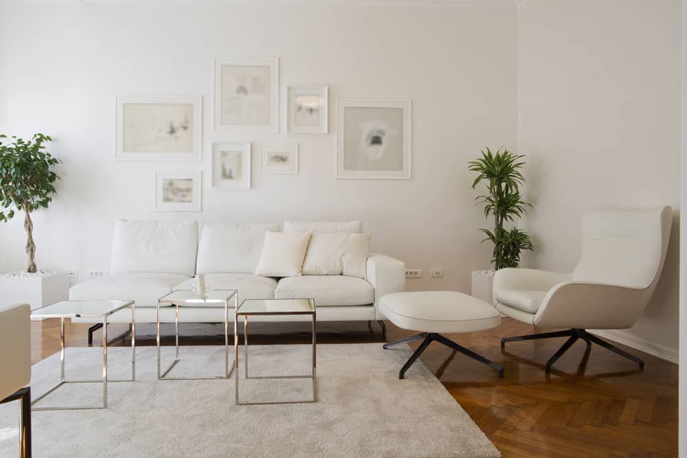 White Decor Pieces Minimalist Living Room 3